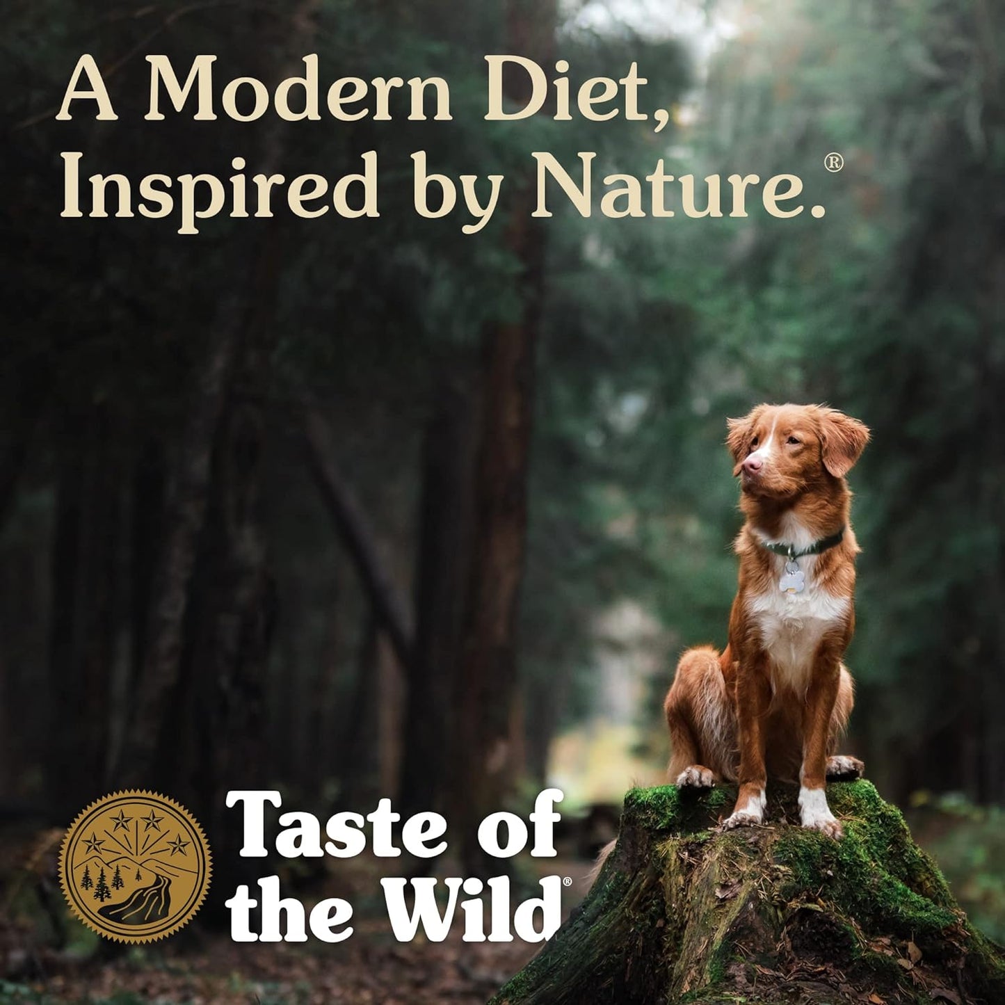 Taste of the Wild Wetlands Grain-Free Fowl in Gravy Canned Dog Food, 13.2-oz, case of 12